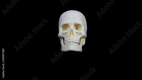 human skull front view on black background