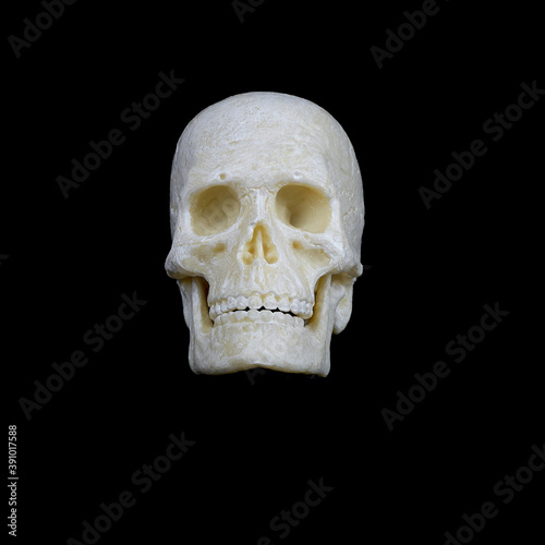 human skull front view on black background