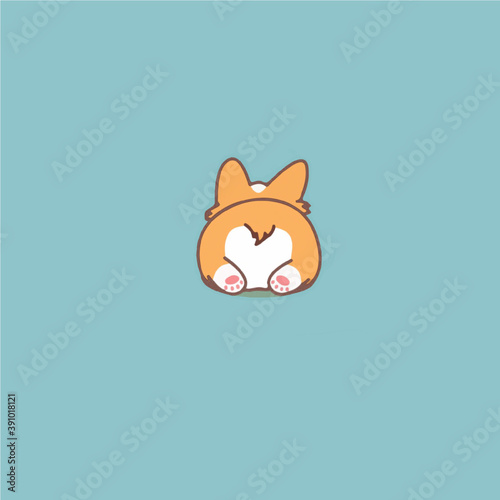 picture of a corgi's butt on a blue background