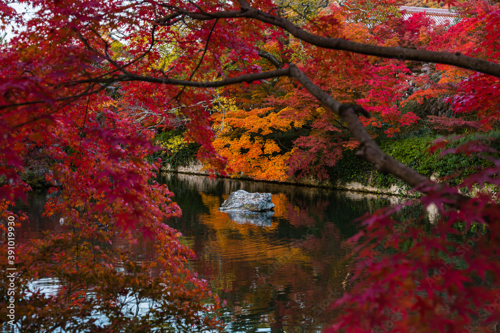 日本　京都、永観堂の放生池と紅葉