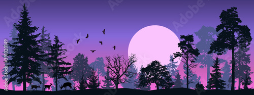 Tree forest vector silhouette. Night forest