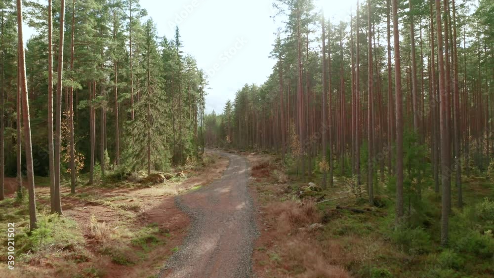 Rising sunny AERIAL shot of a track and a forest in Dalarna, Sweden Rising sunny AERIAL shot of a track and a forest in Dalarna, Sweden