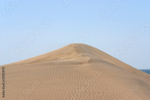 Desert landscape in the dunes of Maspalomas  Gran Canaria  Canary Islands  Spain