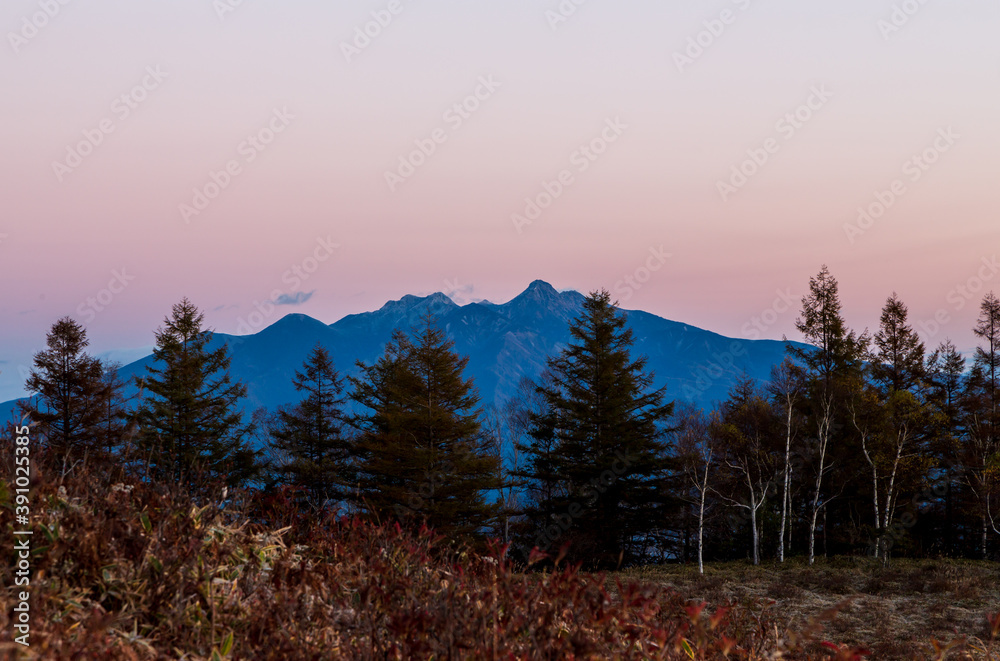 甘利山から夜明けの八ヶ岳