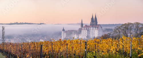 Panorama of the fairy tale castle "Albrechtsburg" in Meißen located in Saxony, Germany on a foggy morning. View to beautiful old medieval fortress with a vineyard in the foreground.