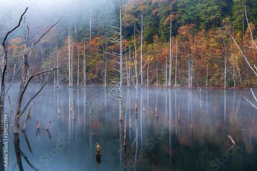 夜明けの朝霧の自然湖に映る紅葉 © Umibozze