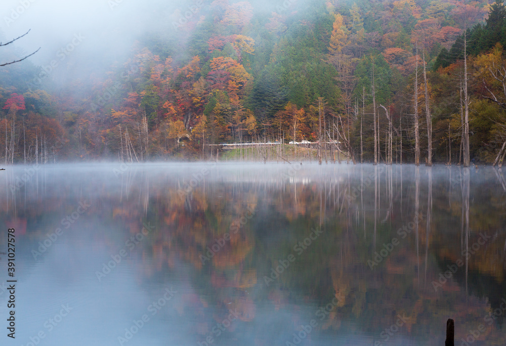 夜明けの朝霧の自然湖に映る紅葉