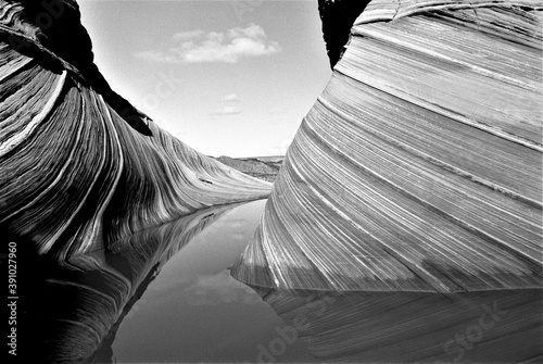 The Wave #1 in black and white film in Vermilion Cliffs National Monument, Arizona, U.S.A.