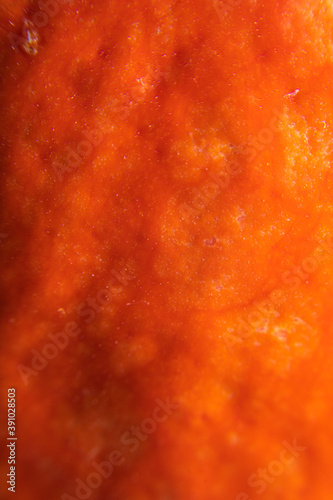 Background with pumpkin peel