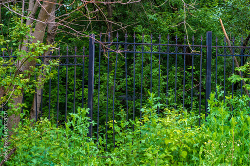 A metal fence made of black rods in the forest against the background of bushes and trees. An abandoned steel fence in a remote area around a dilapidated house.