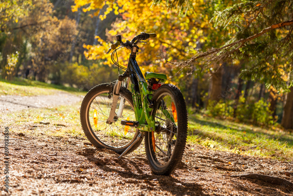 Children's mountain bike stands on the lawn in the park. Against the background of golden autumn trees.