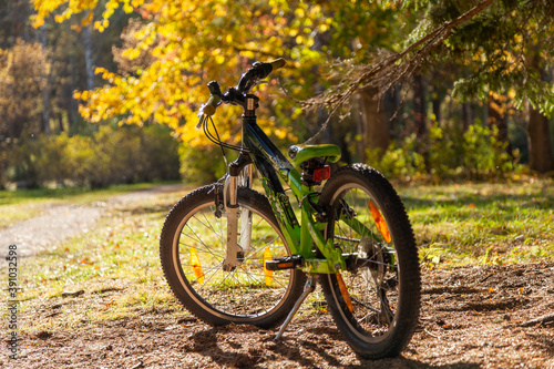 The children's bike stands in the park in backlight against the background of golden trees. © Regisser.com