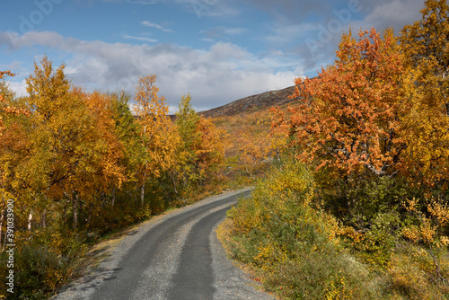 Autumn in Nedalen  Tydal  Norway