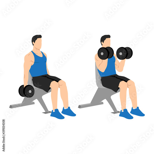 Man doing seated dumbbell bicep curls exercise. Flat vector illustration isolated on white background