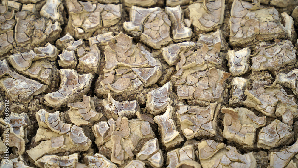 Close up view of cracked dried soil. Desiccation in soil, hard panic surface, natural dryness and rough desert plains. It occurs naturally Laterite soil. Close up view of cracked dried soil. Desiccation in soil, hard panic surface, natural dryness and rough desert plains. It occurs naturally Laterite soil.