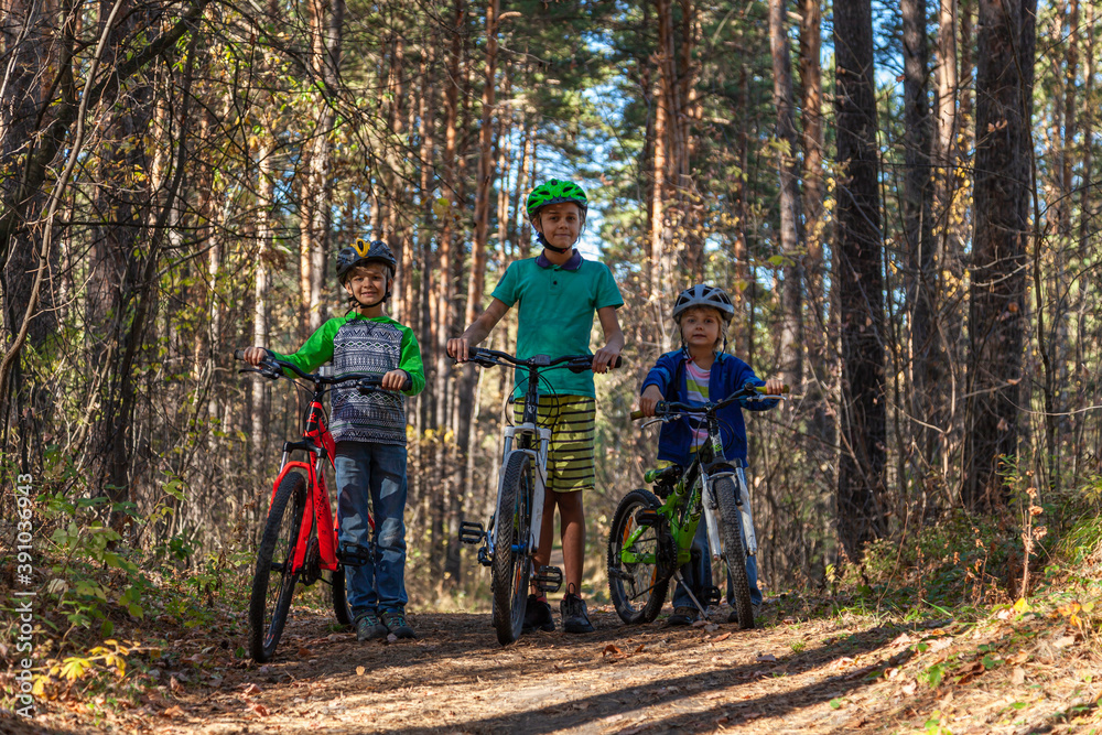 Three young cyclists are standing on a forest road against the backdrop of a pine forest.