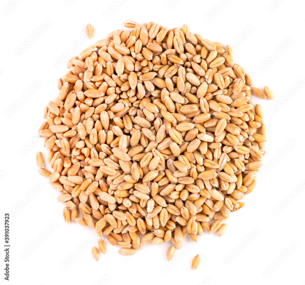 Wheat grains isolated on white background. Processed organic dry wheat seeds. Top view. Wheat grains isolated on white background. Processed organic dry wheat seeds. Top view.
