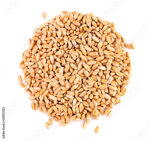 Wheat grains isolated on white background. Processed organic dry wheat seeds. Top view.