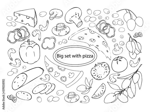 Set of pizza ingredients. Doodle style, hand-drawn. Vector. Pieces of pizza. Olives, salt, cheese, tomato, pepper, mushrooms.