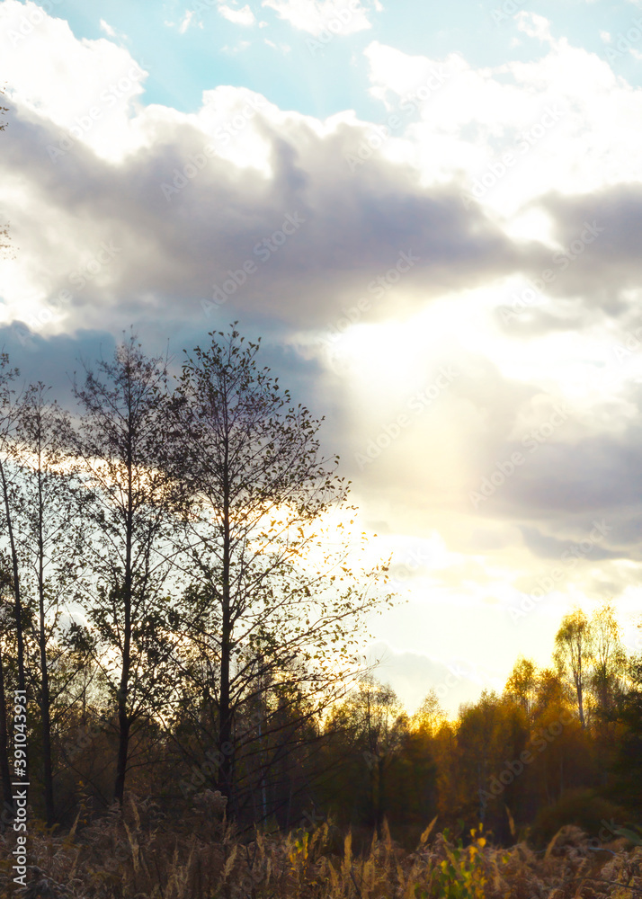 sunset over the autumn  forest