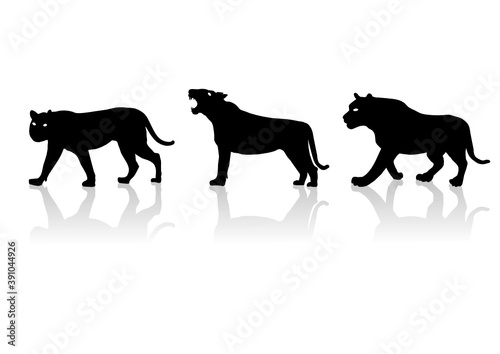 Tiger's Silhouette, Vector File