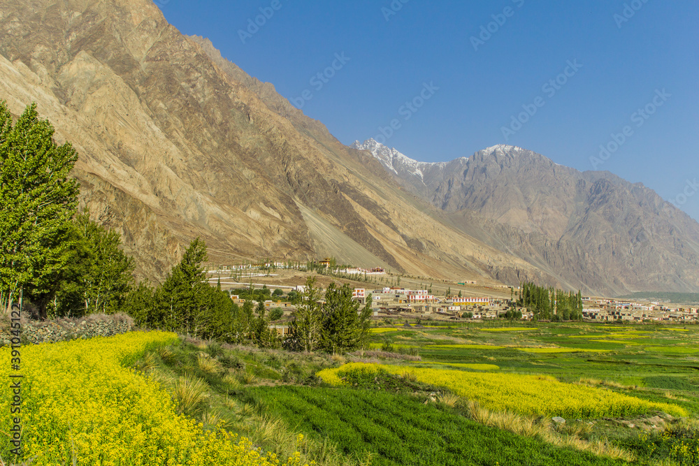 Various views of Diskit, Ladakh