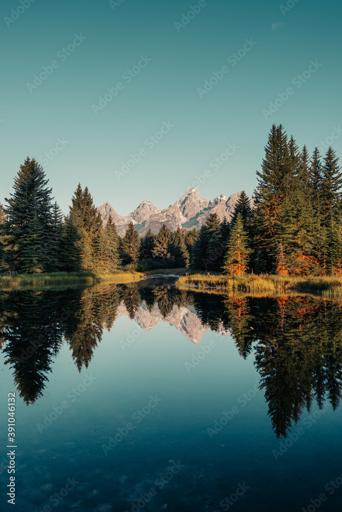 Morning glow of pine trees and the Teton Range of the Rocky Mountains.  Schwabacher Landing in Grand Teton National Park, Wyoming, USA. Water reflections of the Teton Range on the Snake River. 