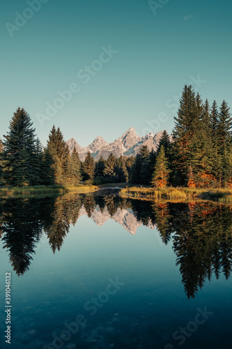 Fototapeta Naklejka Na Ścianę i Meble -  Morning glow of pine trees and the Teton Range of the Rocky Mountains.  Schwabacher Landing in Grand Teton National Park, Wyoming, USA. Water reflections of the Teton Range on the Snake River. 