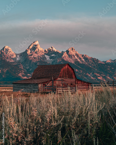 The Famous John Moulton Barn at sunrise in the Historic Mormon Row District of Grand Teton National Park, Wyoming, USA. Morning sunshine on the Teton Mountains in the background. 