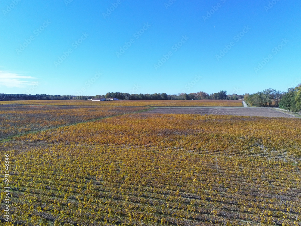 Vignes à Léognan en Gironde, vue aérienne Vignes à Léognan en Gironde, vue aérienne