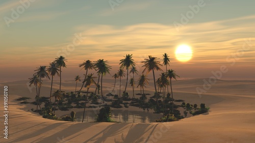 Fototapeta Naklejka Na Ścianę i Meble -  Oasis at sunset in a sandy desert, a panorama of the desert with palm trees,

