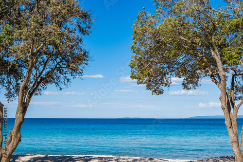 Beautiful beach, view between pine trees, turquoise water of Adriatic Sea on sunny summer day. Croatia, island of Pag. © ilijaa