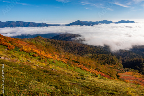 Fototapeta Naklejka Na Ścianę i Meble -  北海道・大雪山系の赤岳で見た、眼下に広がる銀泉台の紅葉と迫り来る雲海、快晴の青空