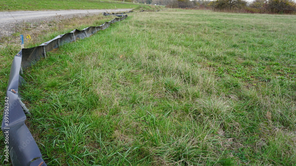 Obraz premium safety fence for frogs in the community Au am Rhein in the region Baden-Wuerttemberg with the view of the community Lauterbourg in France in the month of November, Germany