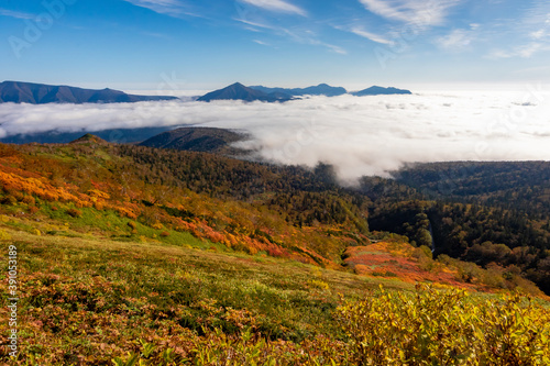北海道・大雪山系の赤岳で見た、眼下に広がる銀泉台の紅葉と迫り来る雲海、快晴の青空