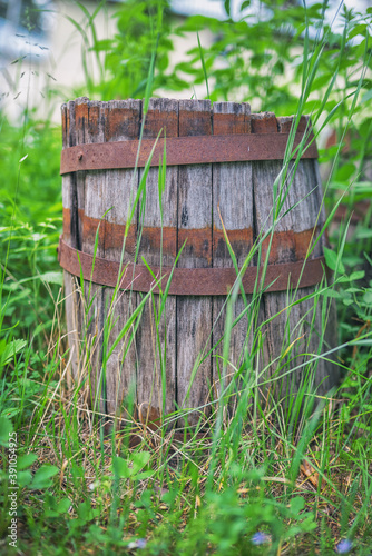 The ruins of an old wooden barrel in a thicket of tall grass.