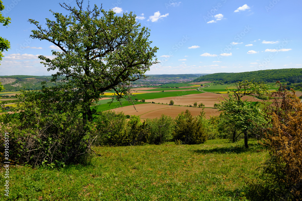 Fototapeta premium Landschaft im Naturschutzgebiet Mäusberg bei Karlstadt, Landkreis Main-Spessart, Unterfranken, Bayern, Deutschland