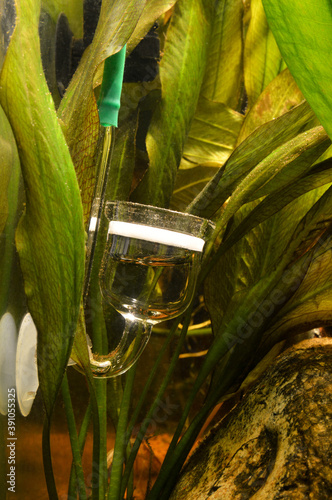 Co2 diffuser with aquarium plants, for the diffusion of co2 or carbon dioxide in an aquarium for the growth of aquatic plants.