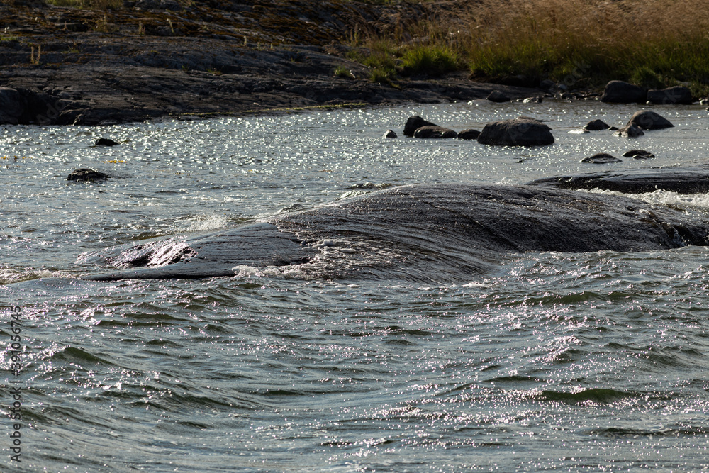 Obraz premium Close up of waves crashing on a rocky shore