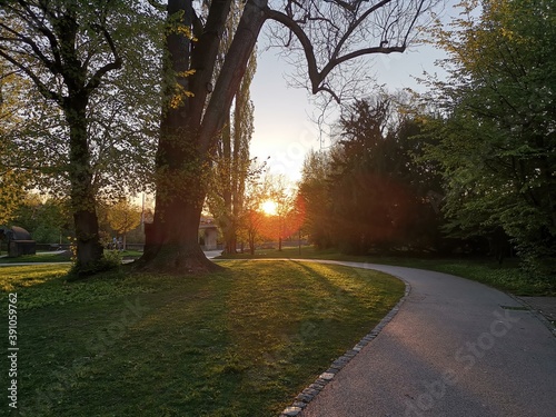 Obraz na płótnie sunset light through trees in a park at Esslingen, Germany w salonie
