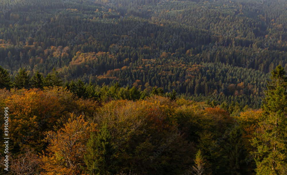 Landscape view over a hilly forest during a sunny autumn day