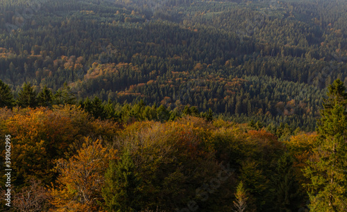 Landscape view over a hilly forest during a sunny autumn day