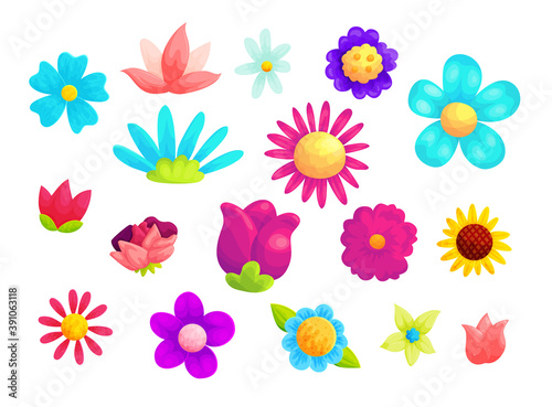 Fototapeta Naklejka Na Ścianę i Meble -  Blooming summer flowers cartoon vector illustrations set. Plant blossom with pink and blue petals isolated on white background. Wildflowers, camomile, rose bud, daisy and sunflower design element