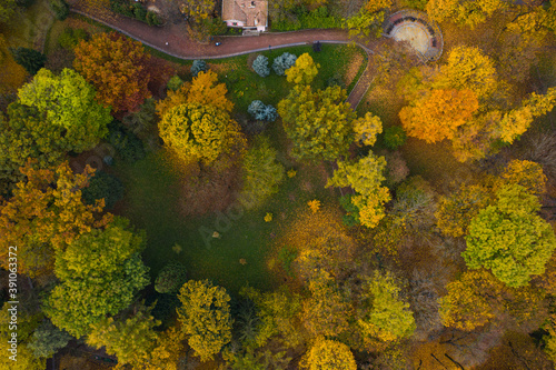 Aerial view on park in autumn from drone photo