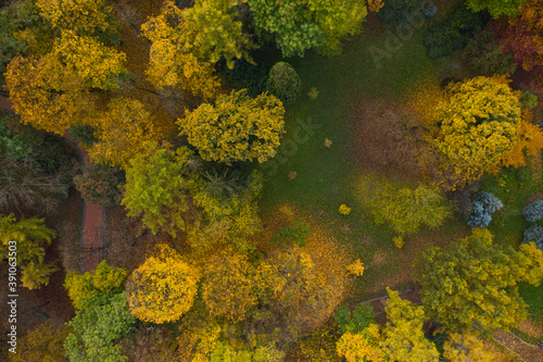 Aerial view on park in autumn from drone