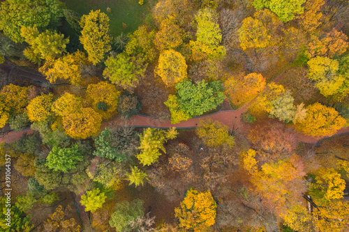 Aerial view on park in autumn from drone © Ruslan