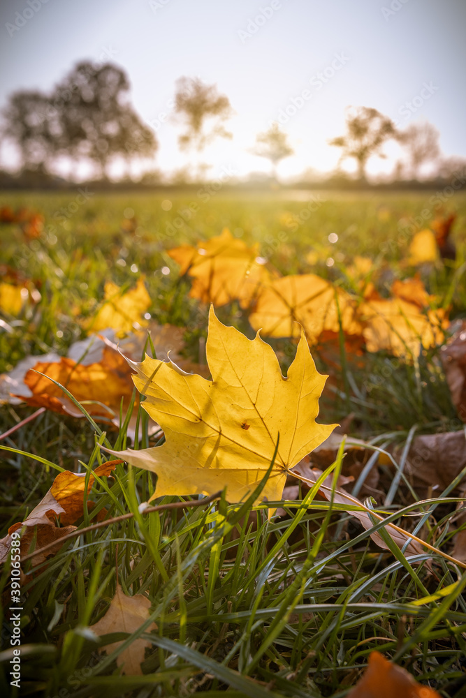 Obraz premium Sonniger Herbsttag