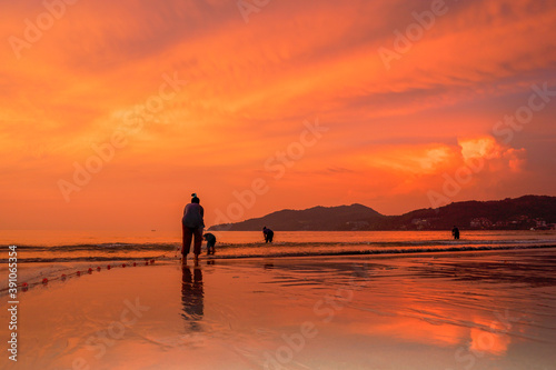 .People come out to trawl their nets on Patong beach during sunset time.. © Narong Niemhom