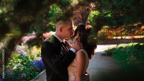 Quadro su tela Newlywed walk in  park.Bride and groom together outdoors.