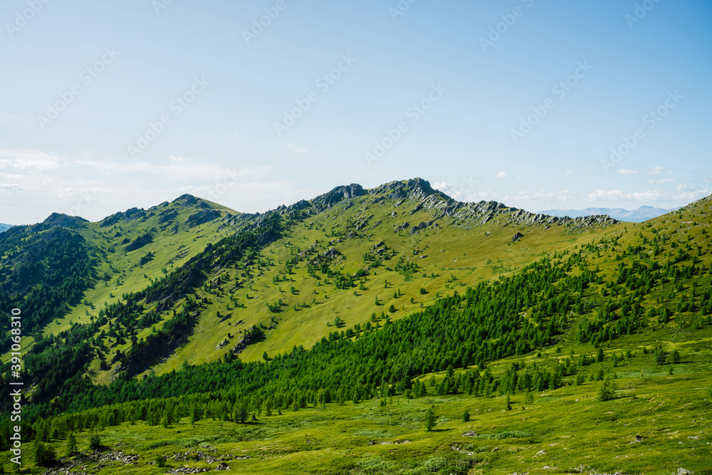 Green mountain scenery with vivid green mountainside with conifer forest and big crags under clear blue sky. Coniferous trees and big rocks on hillside. Scenic landscape with big stones on steep slope